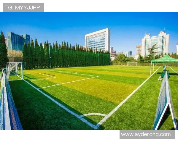 中国足球新纪元：一人一城的球星崛起与未来展望